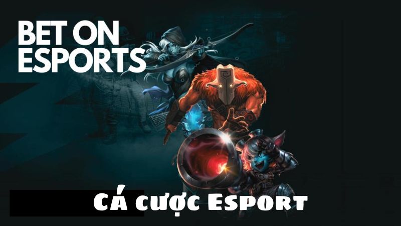 Khám Phá Sân Chơi Cá Cược Esports LOL Chuyên Nghiệp