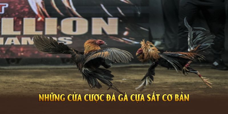 Những cửa cược đá gà cựa sắt cơ bản cần nắm