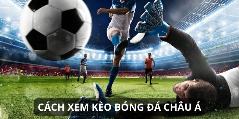 Kỹ Năng Đọc Hiểu Và Áp Dụng Kèo Bóng Đá Trực Tuyến
