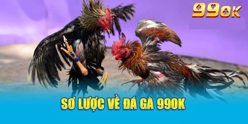 Đôi nét về sảnh đá gà 99ok