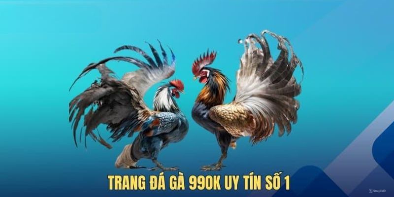 Ưu điểm giúp chuyên mục chọi kê 99ok trở nên bùng nổ