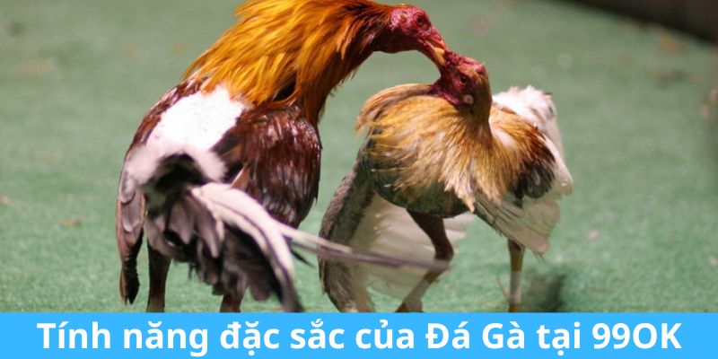 Những thể loại chọi kê cực đặc sắc tại sân chơi